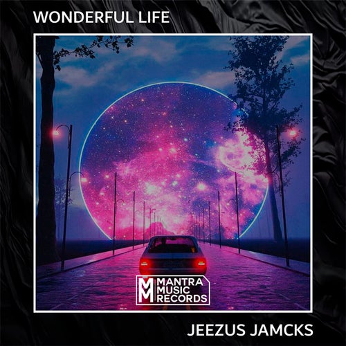 Wonderful Life