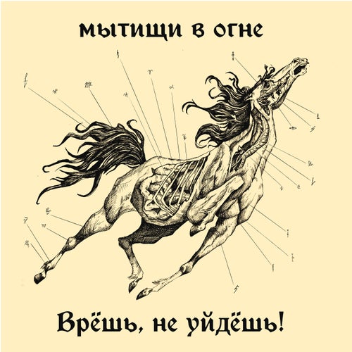 Врёшь, не уйдёшь!