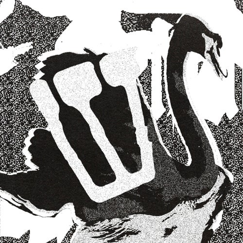 Release of the week