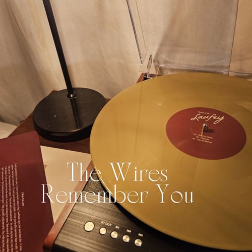 The Wires Remember You