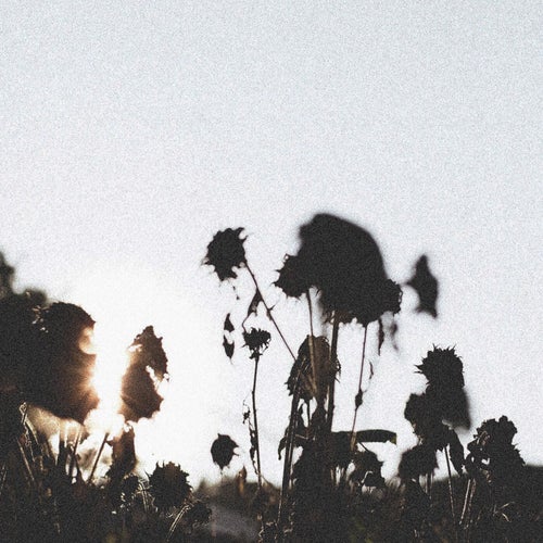 Accomplished (Instrumental)