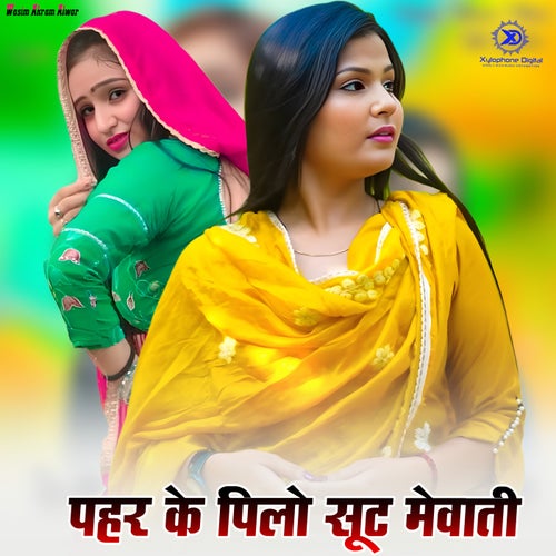 Pahar Ke Pilo Suit Mewati