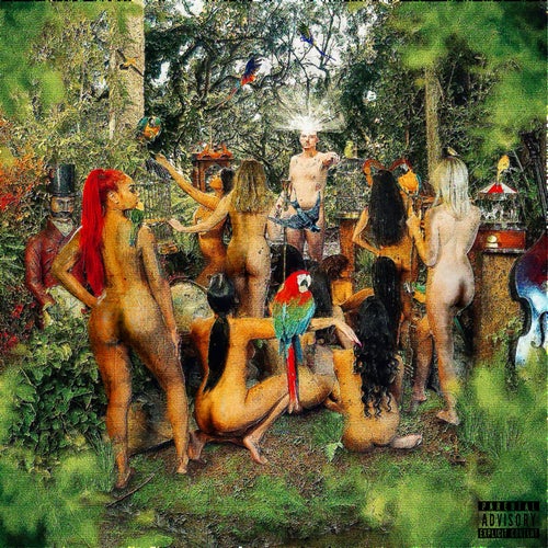 Release of the week