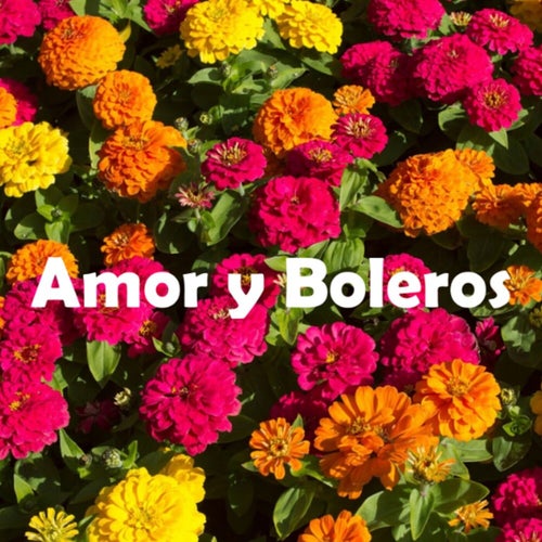 Amor y Boleros