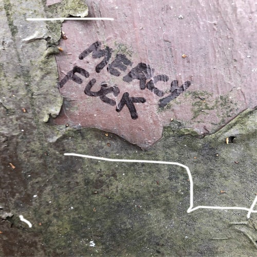 Mercy Fuck
