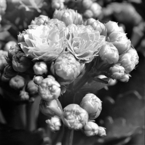 Unfolding