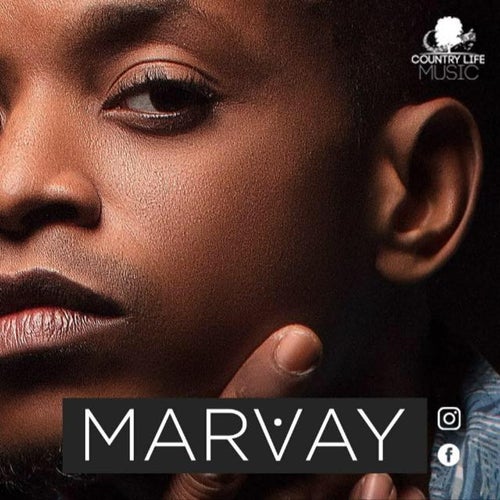 Marvay Profile