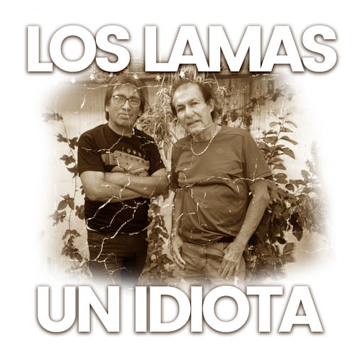 Un idiota