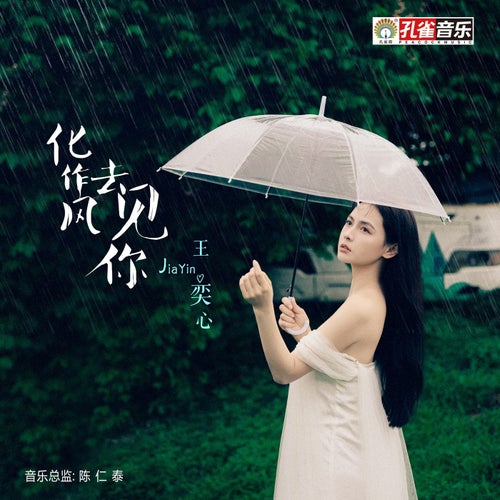 化作風去見你