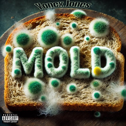 MOLD
