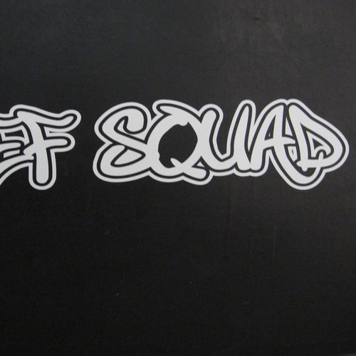 Def Squad Profile