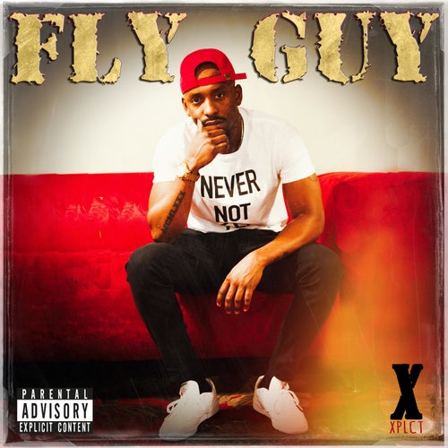 Fly Guy