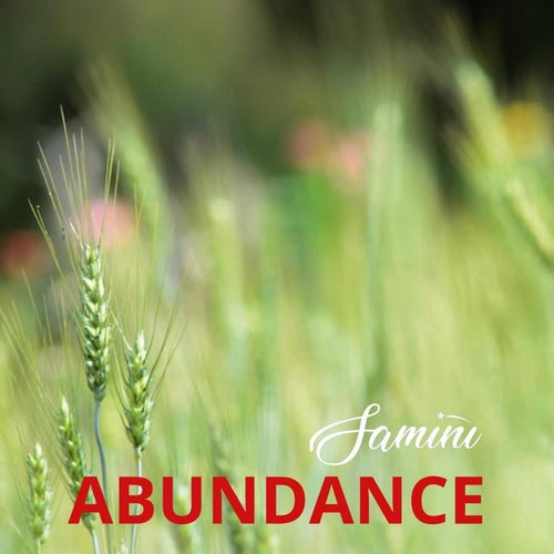 Abundance