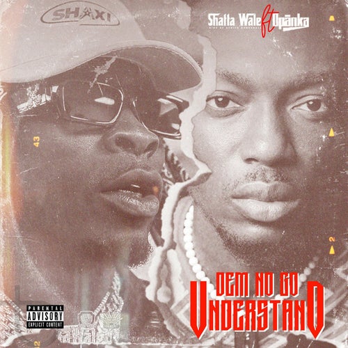 Dem No Go Understand