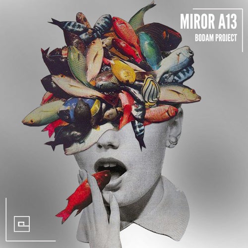 Miror A13