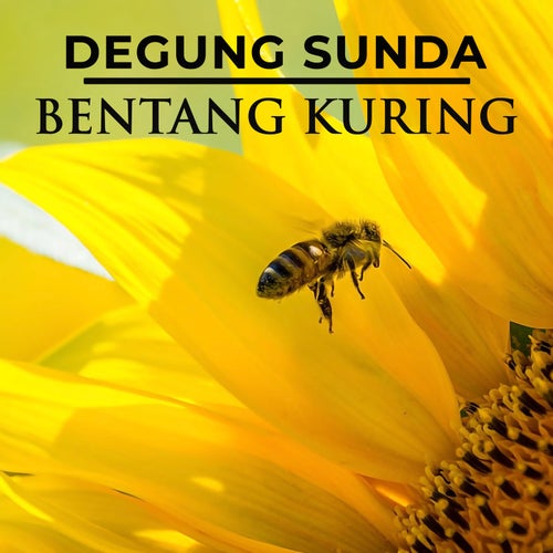 Degung Sunda Bentang Kuring