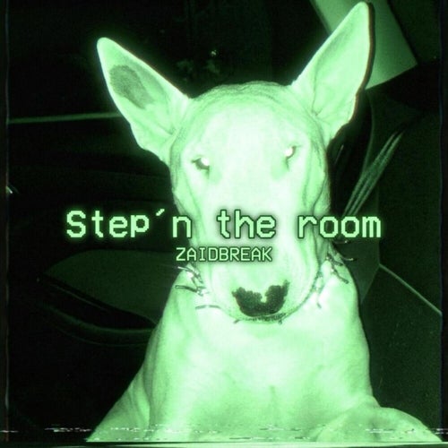 Step'n The Room