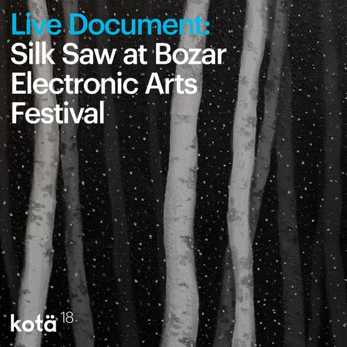 Live Document: Silk Saw at Bozar Electronic Arts Festival (Live at Bozar Electronic Arts Festival, Bruxelles, Belgium, 2016)