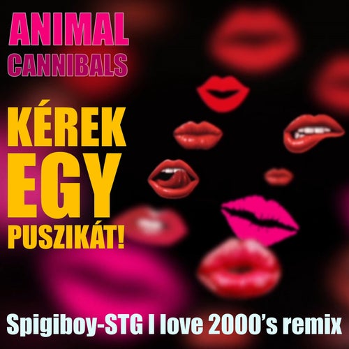 Kérek egy puszikát! (Spigiboy-STG I love 2000's Remix)