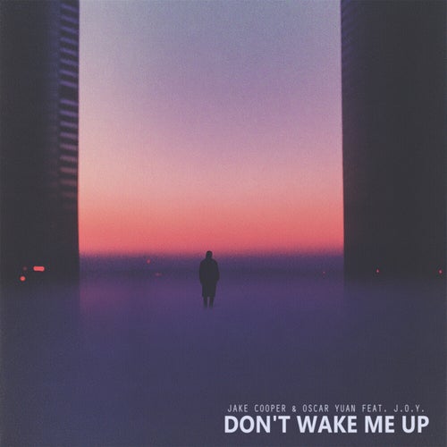 Don't Wake Me Up