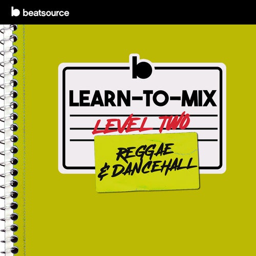 Learn-To-Mix Level 2 - Reggae & Dancehall Album Art