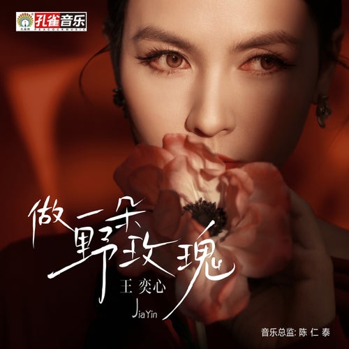 做一朵野玫瑰