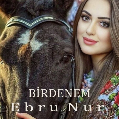 Birdenem