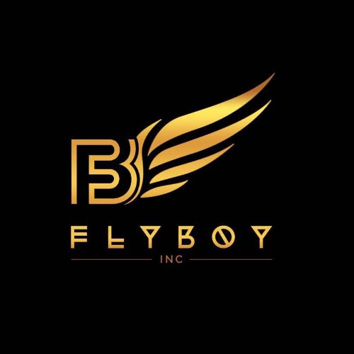 Flyboy Inc. Profile