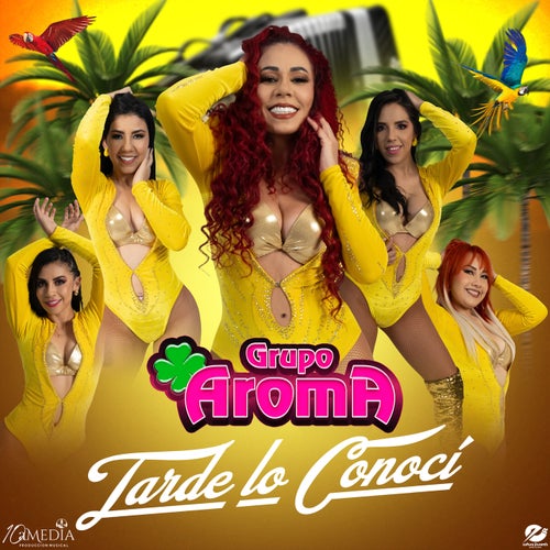 TARDE LO CONOCÍ