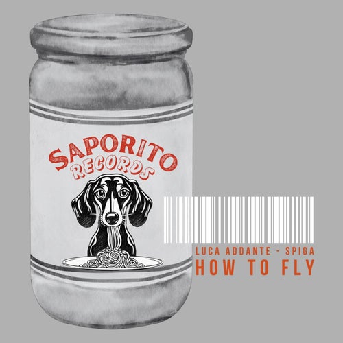 How To Fly
