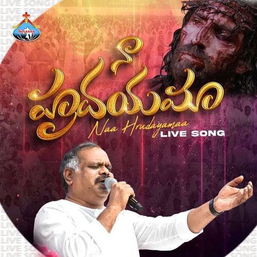 Naa Hrudayamaa Live Song