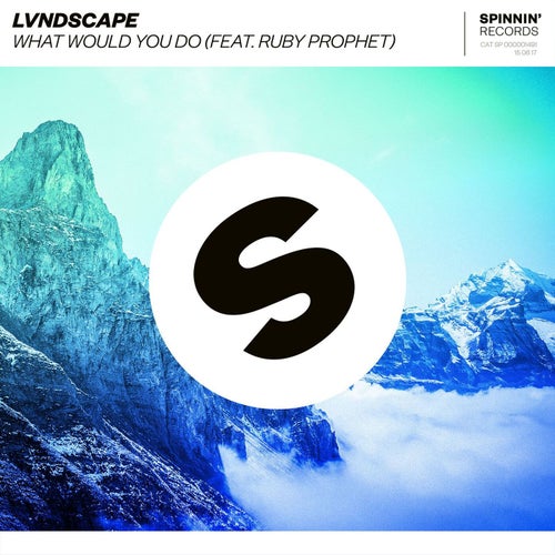 What Would You Do (feat. Ruby Prophet) (Extended Mix)
