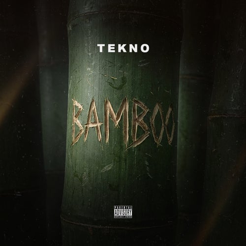 Bamboo