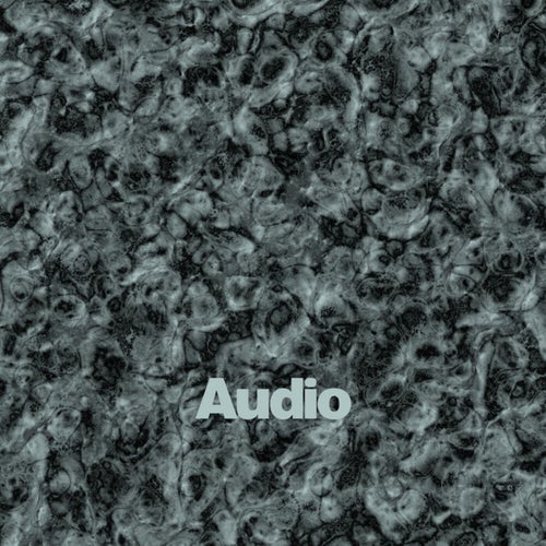 Audio