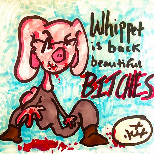 Whippet Is Back Beautiful Bitches