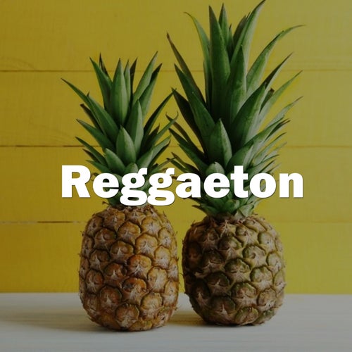 Reggeton 247