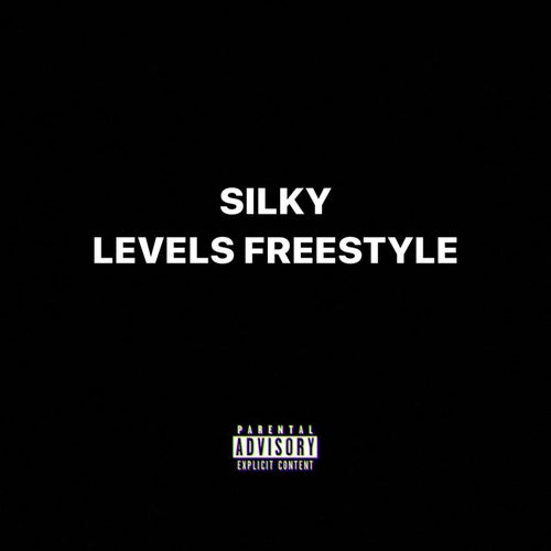 Levels Freestyle