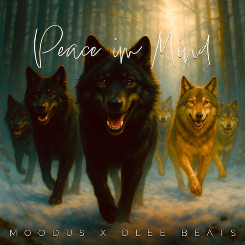 Peace im Mind
