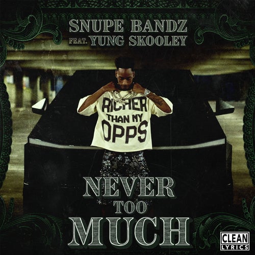 Never Too Much (feat. Yung Skooley)