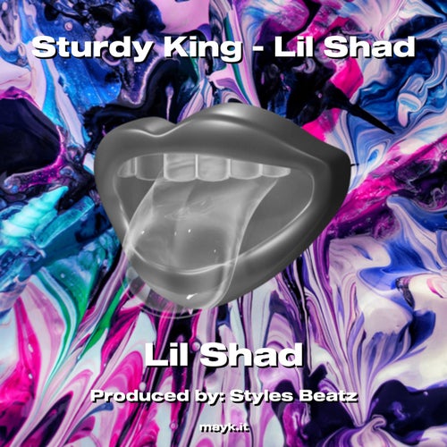 Sturdy King - Lil Shad