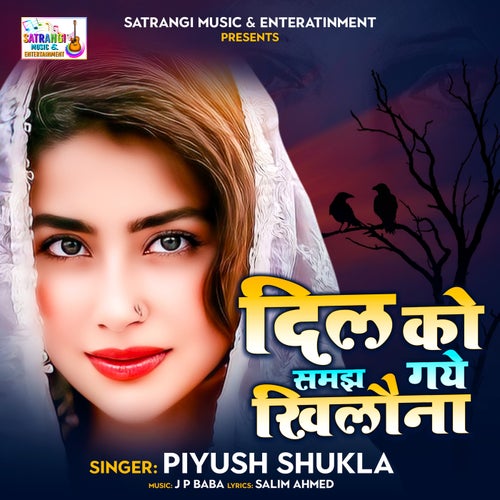 Dil Ko Samjh Gaye Khilauna