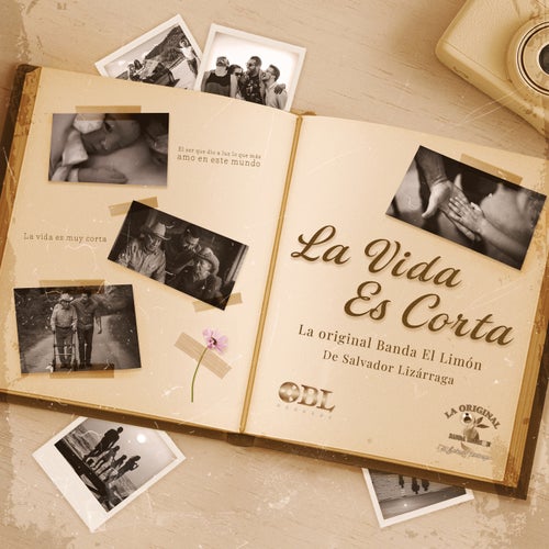La Vida Es Corta