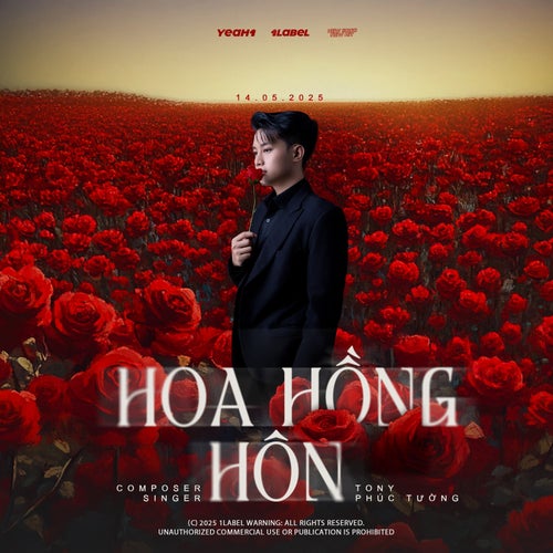 Hoa Hồng Hôn