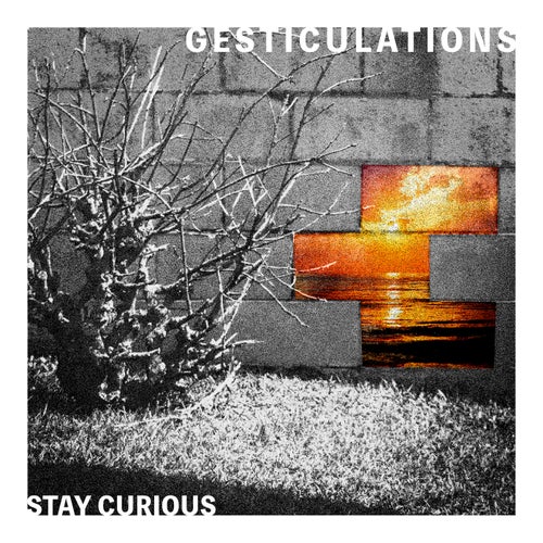 Stay Curious