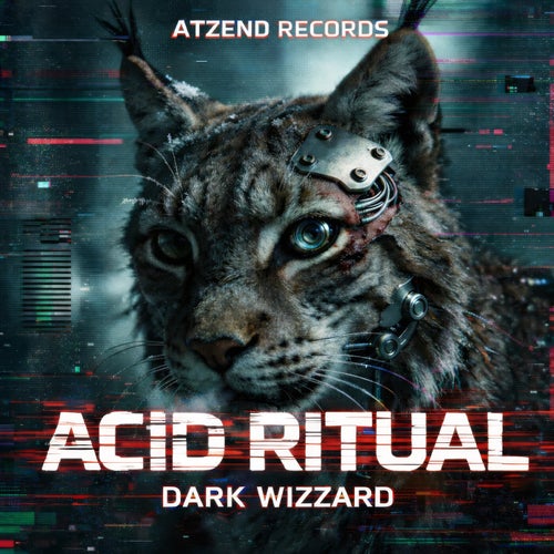 Acid Ritual