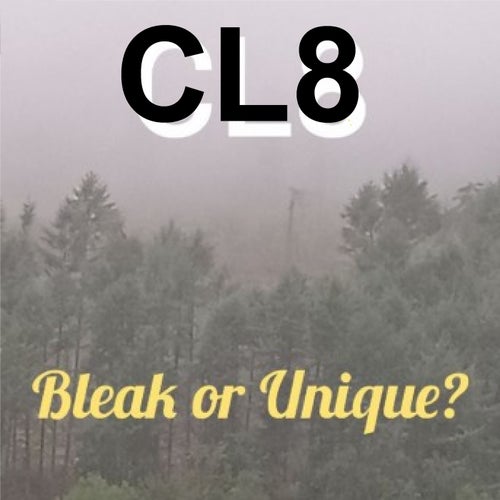 Bleak Or Unique