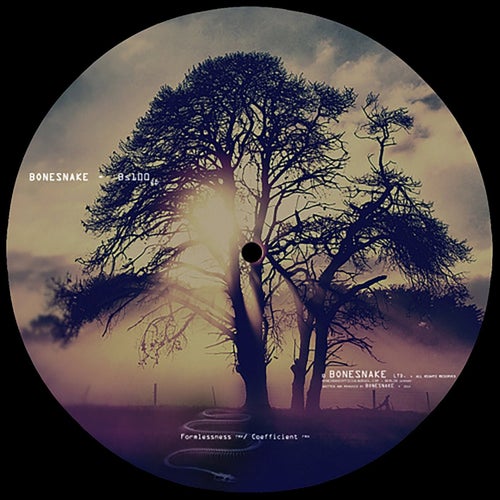 Bs100 (twothousandthirteen)