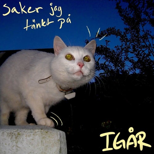 Saker jag tänkt på