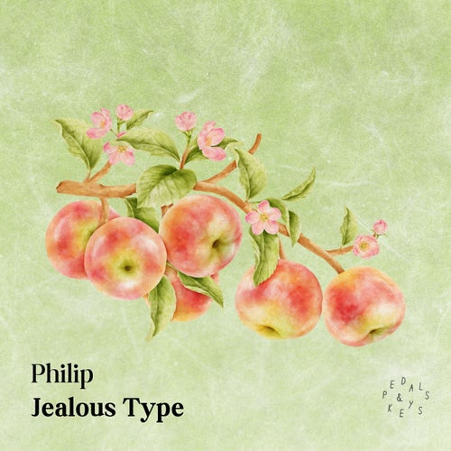 Jealous Type (Piano Version)