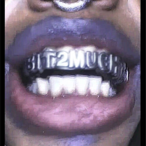 bit2much